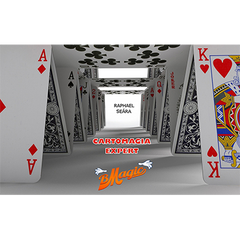 Cartomagia Expert by Raphael Seára (Portuguese Language) - - Video Download