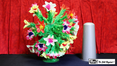 Classic Botania Jumbo (22