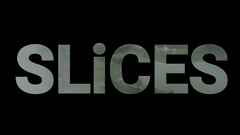 SLiCES by Ragil Septia & Risky Albert - Video Download