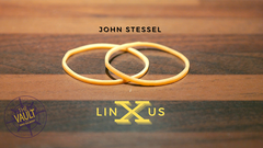 The Vault - Linxus by John Stessel - Video Download