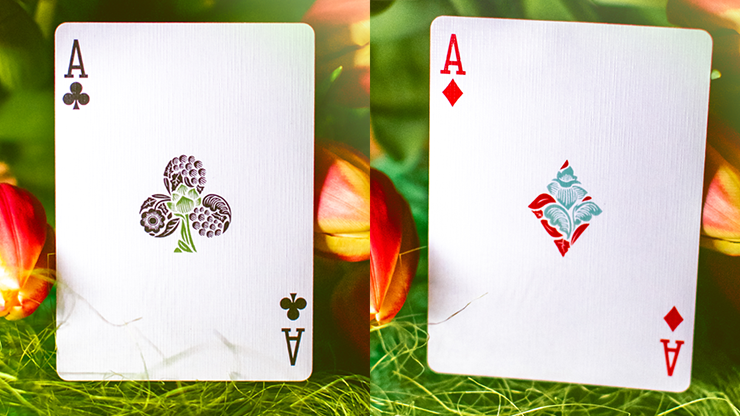 Butterfly Seasons Playing Cards Marked (Spring) by Ondrej Psenicka