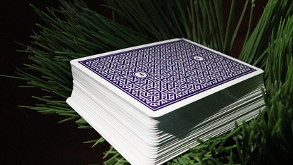 DMC Alpha V3 (Purple) Portcullis with Online Instructions