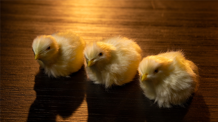 THE FINAL LOAD (Baby Chicks) by Murphy's Magic