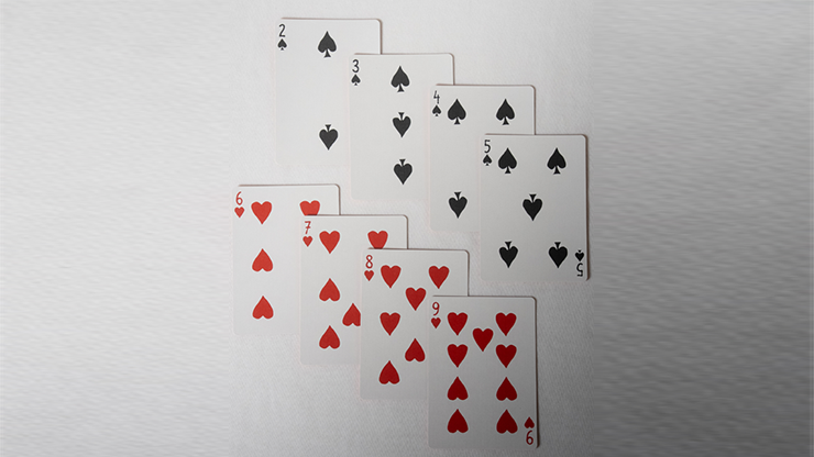 No Borders Edition 2 J&T Back Playing Cards by Joker and the Thief