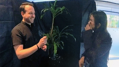 Echo Book Test by Vincent Hedan (Hypnosis)