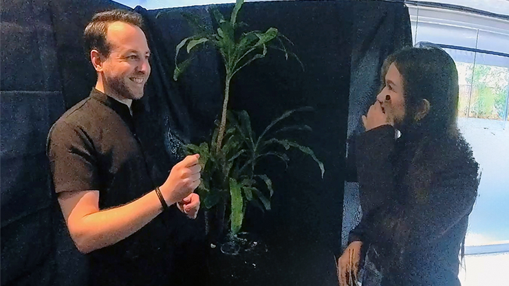 Echo Book Test by Vincent Hedan (Rider-Waite Tarot)