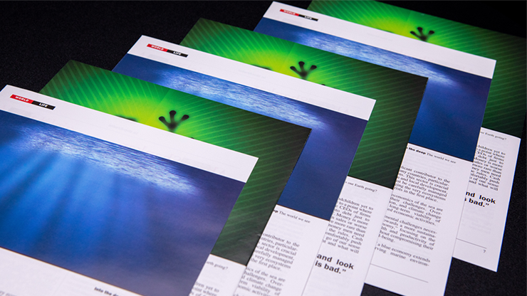 Don't Blink by Yvan Garmy