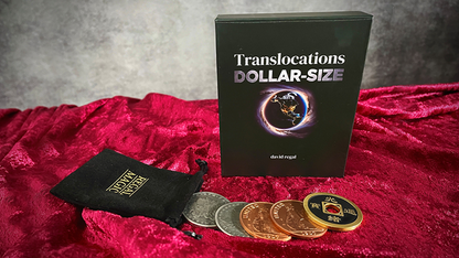 Translocations DOLLAR-SIZED by David Regal