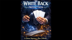 White Back Prediction by Damien Vappereau and Marc Céliandre (Blue)
