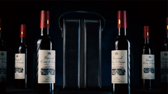 Miracle Wine Bottles Carrying Bag by TCC