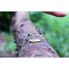 Scare Coin by Arnel Renegado - - Video Download