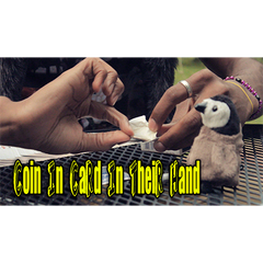 Coin In card by Jibrizy - - Video Download