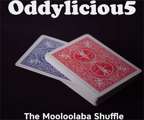 The Oddyliciou5 Package by The Mooloolaba Shuffle - Video Download