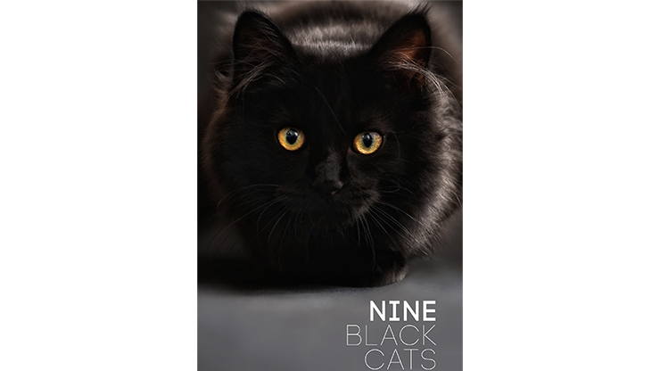 Nine Black Cats by Neema Atri - ebook