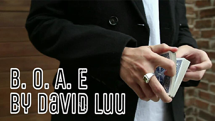 Blink Of An Eye by David Luu - Video Download