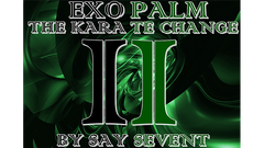 EXOPALM THE KARATE CHANGE by SaysevenT - Video Download