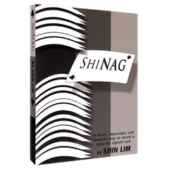 Shinag by Shin Lim - Video Download