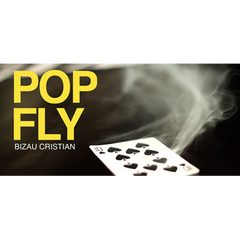 Pop Fly by Bizau Cristian - Video Download