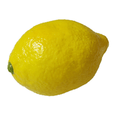 Super Real Latex Lemon - Trick